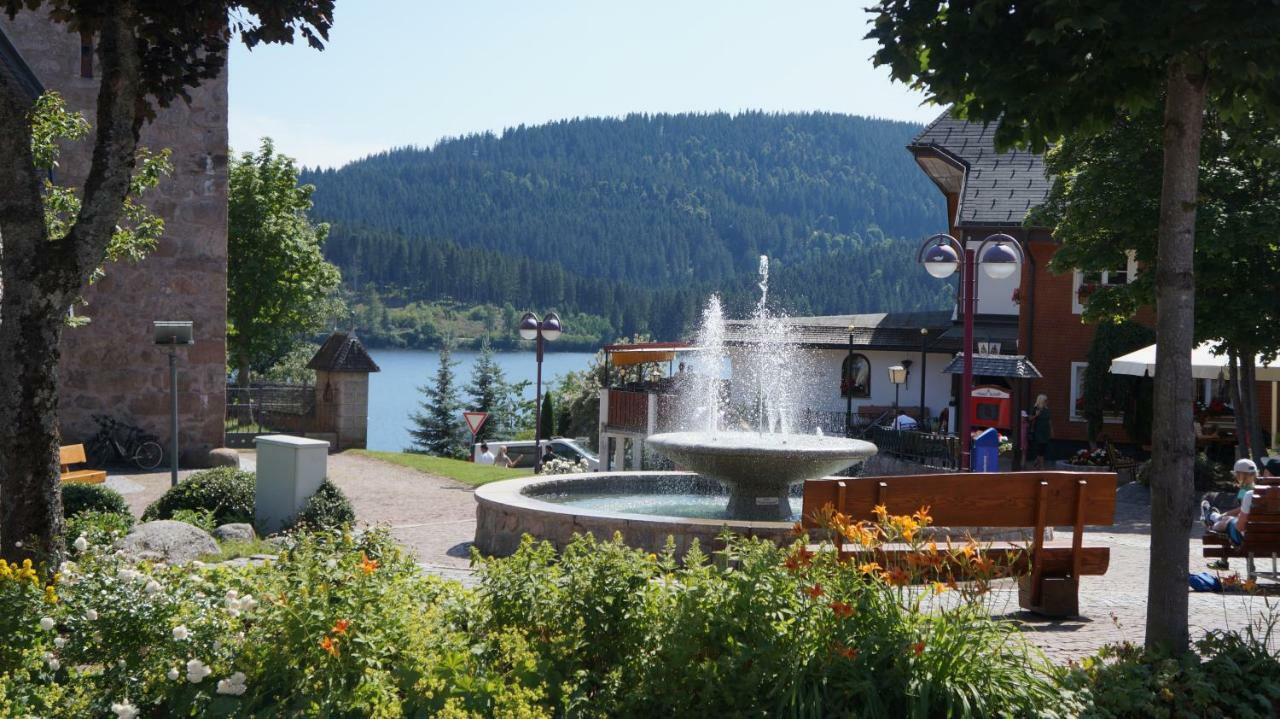 Appartamento Waldblick Schluchsee Esterno foto